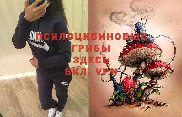 apvp Абаза