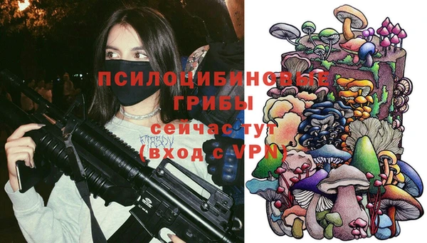 apvp Абаза