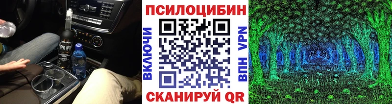 купить   Нижневартовск  Псилоцибиновые грибы GOLDEN TEACHER 