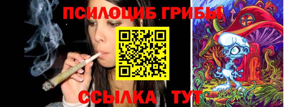 Нижневартовск  Псилоцибиновые грибы прущие грибы  наркота  Вход с VPN  Галлюциногенные грибы GOLDEN TEACHER 
