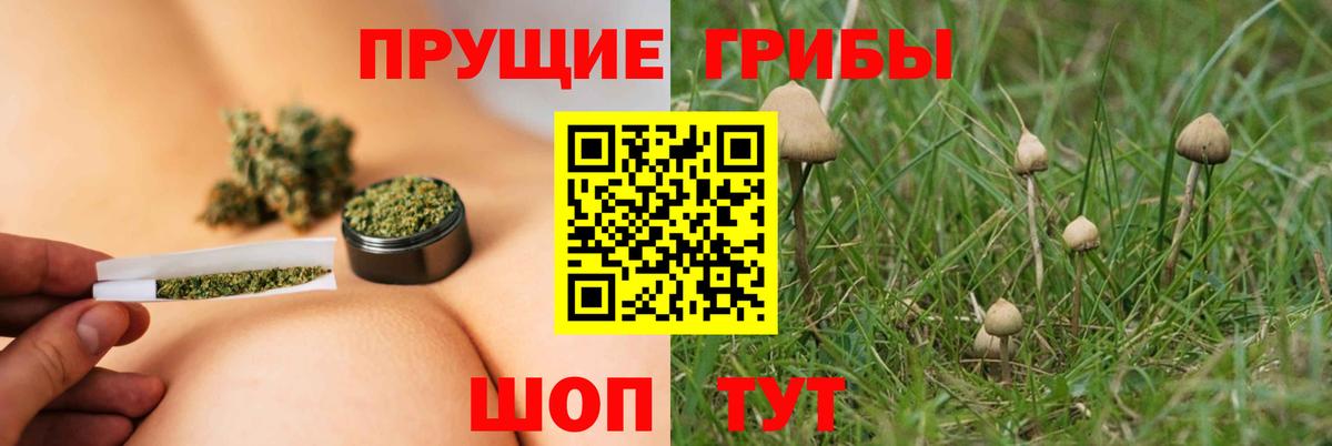Галлюциногенные грибы Psilocybine cubensis  где продают   Нижневартовск  Вход с VPN 